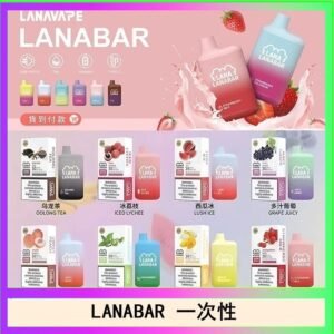 LANA BAR可充电一次性電子煙霧化5000口(3.0%)