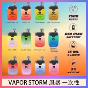Vapor Storm風暴電子煙7500口(5%)一次性