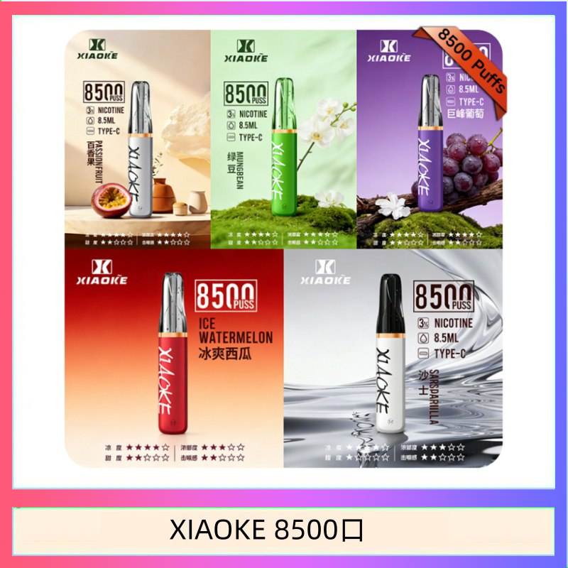 梟客XIAOKE一次性電子菸拋棄式8500口